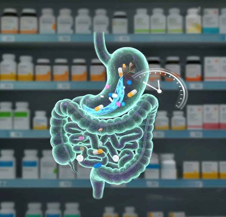 A graphic of a transparent digestive system with pills moving through; a speedometer indicates digestion speed. In the background are shelves with medicine bottles. Scientific tone.